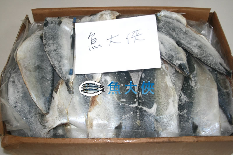 【魚大俠】FH013台灣鹽漬鯖魚片(花腹鯖魚)6kg/35/40/45片/箱