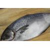【魚大俠】FH038 智利花鯧魚(星點鯧400/500 $120/尾