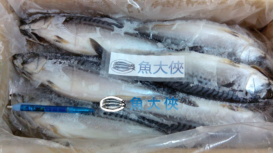 【魚大俠】FH005日式風味鹽漬挪威鯖魚(鹹魚)400g/尾 M號15尾裝/6公斤