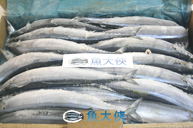 【魚大俠】本月出清惜福品!!特號NG秋刀魚 一尾5塊