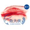 1B6A【魚大俠】FH182台灣-大規紅鯛魚片(190~250g/片)#排大單片