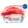 F2【魚大俠】FH183台灣紅鯛魚片特1規(250/300)整件10KG免運