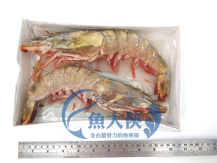 B2【魚大俠】SP059野生海熊蝦肥豬蝦(2尾/380g/盒)