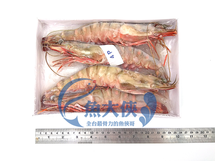 B2【魚大俠】SP060野生海熊蝦肥豬蝦(4尾/380g/盒)
