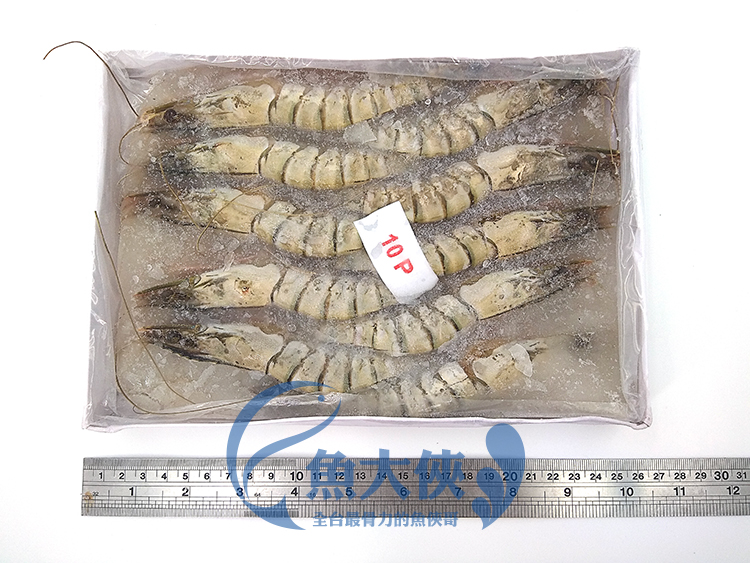1C4A【魚大俠】SP061進口海草蝦 10P裝(10尾/實重約300g/盒)