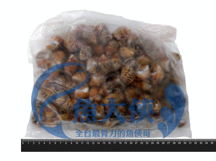 生凍-帶殼鳳螺(2kg/包)#帶殼-1H3B【魚大俠】BC027