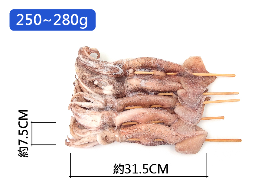 串燒阿根廷魷魚(250~280g/尾/5尾/包)#黃L2-1G5B【魚大俠】SD030