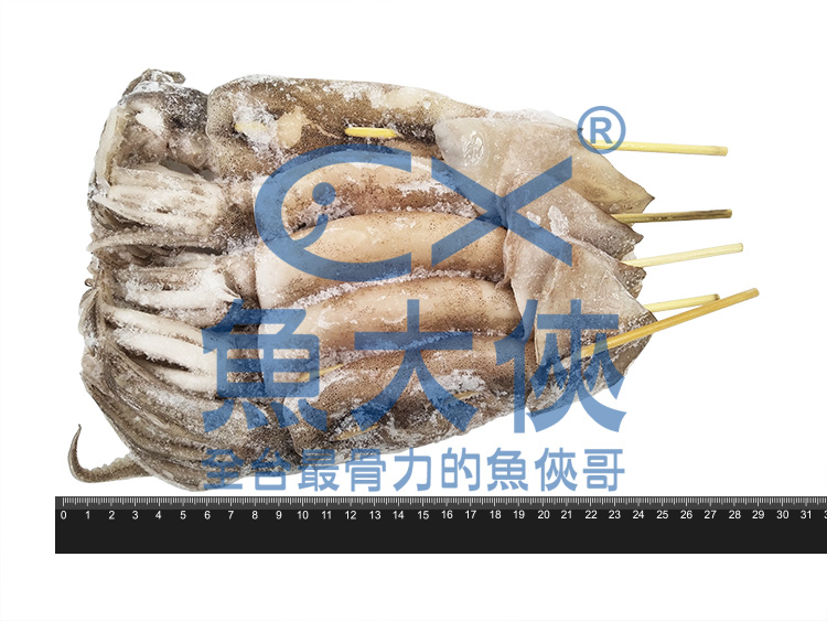 串燒阿根廷小魷魚(150~180g/尾/5尾/包)-1D4B【魚大俠】SD049