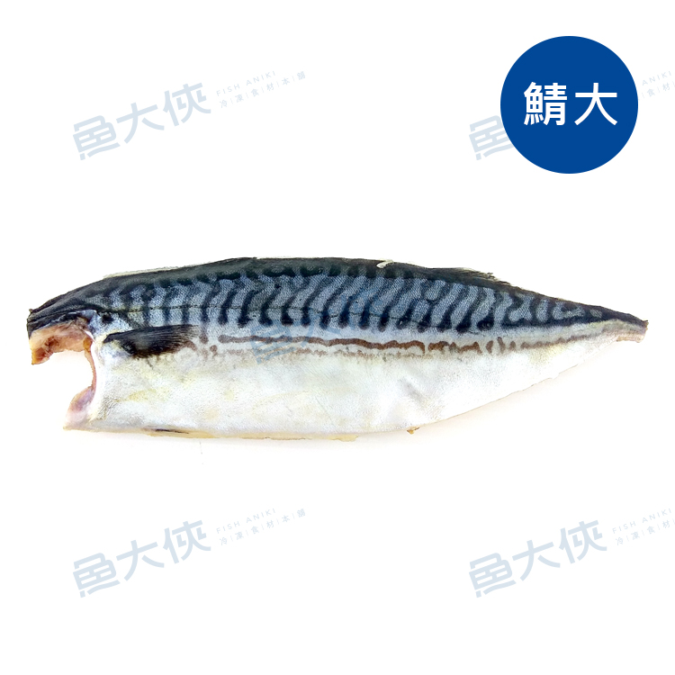 信揚-薄鹽挪威鯖魚片-鯖大(170~210g/片)-1D1B【魚大俠】FH156
