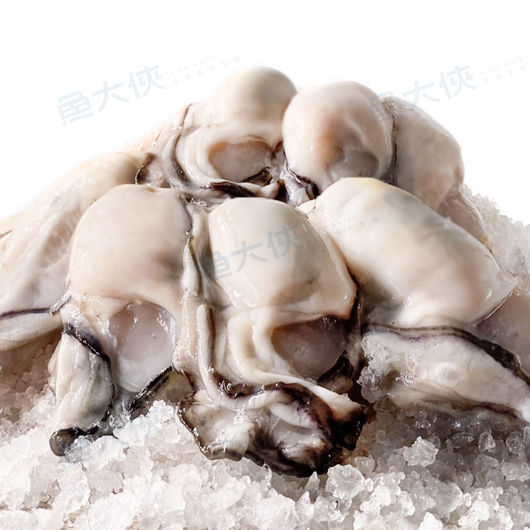 1E3B【魚大俠】BC042韓國-牡蠣清肉M規格(1kg/25%冰/包)#M規格