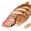 台灣-三去紅魚/紅雞母(300~400g/尾)-2E4A【魚大俠】FH369