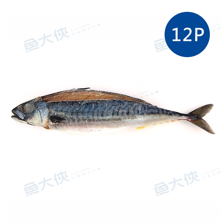 薄鹽漬挪威鯖魚(12尾/6kg/件)#MK12P-【魚大俠】FH385