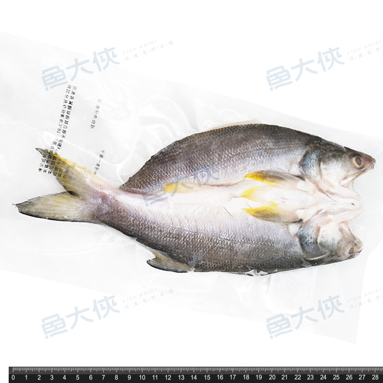 午仔魚一夜干(約200g/尾)-1C6A【魚大俠】FH219