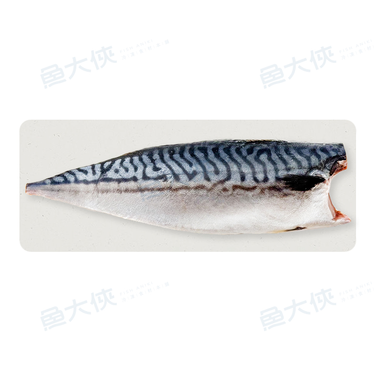 整件-紙板-薄鹽挪威鯖魚片(17片/4kg/件)#紙板鯖魚#整件-1J6A【魚大俠】FH397