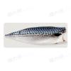 紙板-薄鹽挪威鯖魚片(220~240g/片)#紙板鯖魚-1J6A【魚大俠】FH396