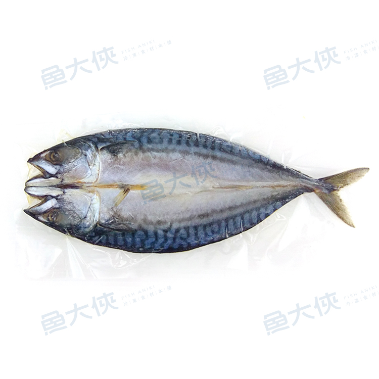 特級薄鹽-挪威鯖魚一夜干(300~350g/尾)-1G3B【魚大俠】FH056