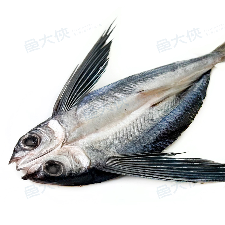小規格-台灣飛魚一夜干(200g/尾)-1G3B【魚大俠】FH413